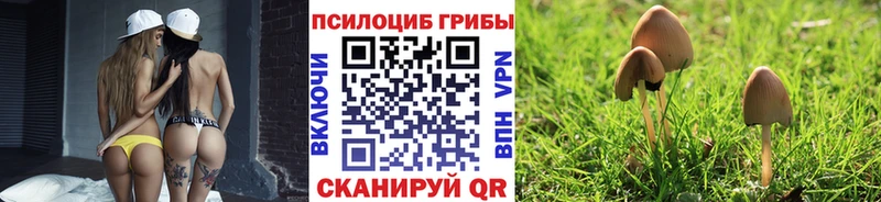 Галлюциногенные грибы ЛСД купить закладку Асино